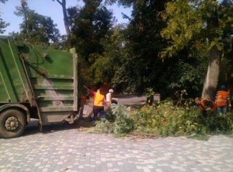 В парке Шевченко проходит плановая уборка (фото)