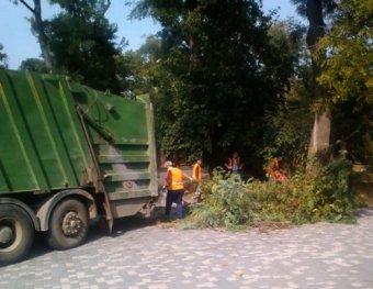 В парке Шевченко проходит плановая уборка (фото)