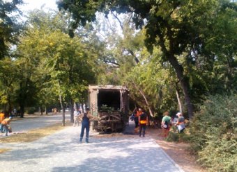 В парке Шевченко проходит плановая уборка (фото)
