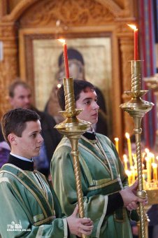 Памяти преподобного Кукши Одесского