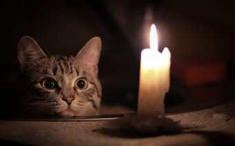 На каких улицах Одессы завтра плановое отключение электроэнергии
