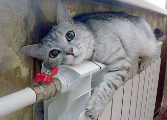 КП «Теплоснабжение города Одессы» проводит запуск котельных 