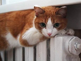 22 котельные уже подают тепло в школы, детсады и медучреждения Одессы