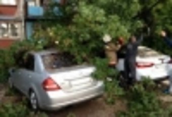 Одесские спасатели освободили три автомобиля из-под дерева
