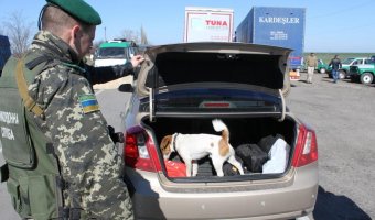 Одесские таможенники выявили у гражданина Молдовы патроны к охотничьему оружию