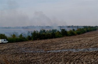 Засуха 2015 года в Украине является уникальной