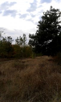 Дыхание осени (фото)