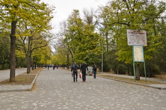 В осеннем парке
