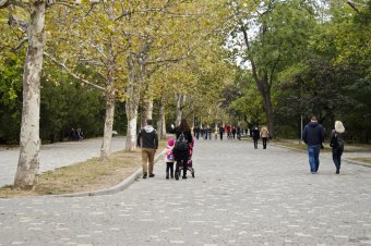 В осеннем парке
