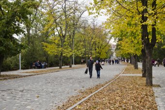 В осеннем парке