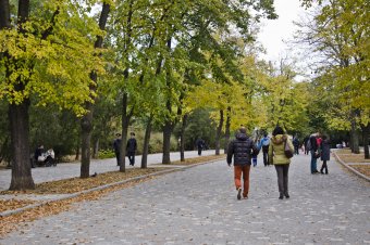В осеннем парке