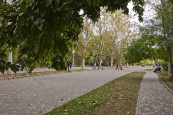 В осеннем парке
