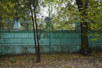 В осеннем парке