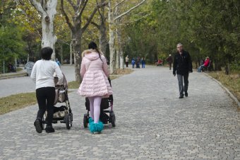 В осеннем парке