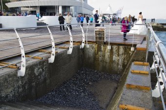 В осеннем парке