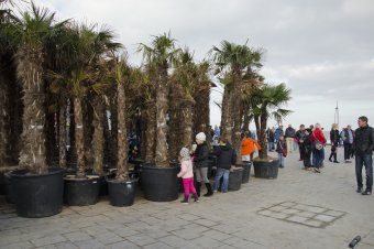 В осеннем парке