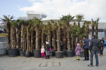 В осеннем парке