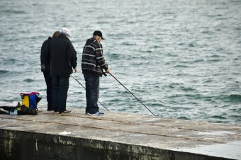 В осеннем парке