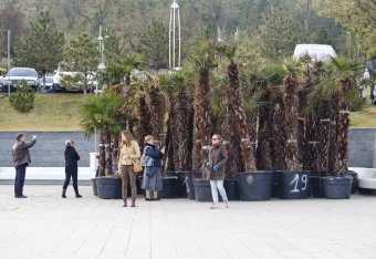 В осеннем парке