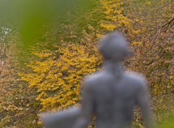 Осеннее очарование Одессы (фото)