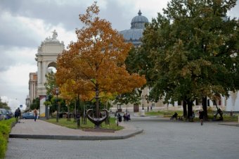 Осеннее очарование Одессы (фото)
