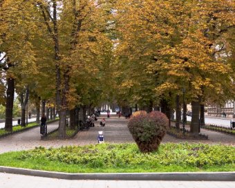 Осеннее очарование Одессы (фото)