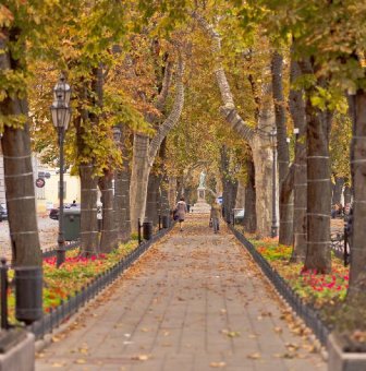 Осеннее очарование Одессы (фото)