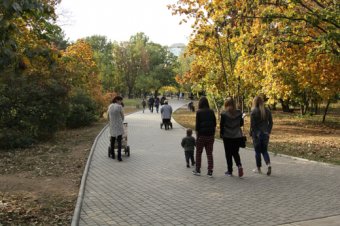 Осеннее очарование Одессы (фото)
