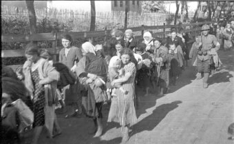 25 октября 1941 года: Донесение о расстрелах…