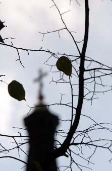 Воронцов - легенда Одессы