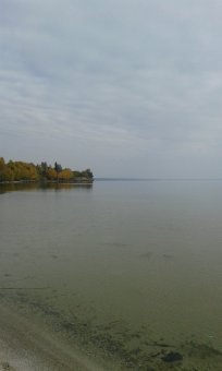 Последние дни золотой осени (фото)
