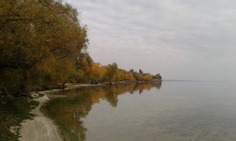 Последние дни золотой осени (фото)