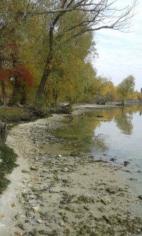 Последние дни золотой осени (фото)