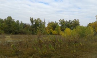 Последние дни золотой осени (фото)