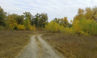 Последние дни золотой осени (фото)