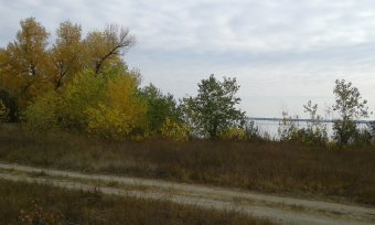 Последние дни золотой осени (фото)