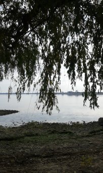 Последние дни золотой осени (фото)