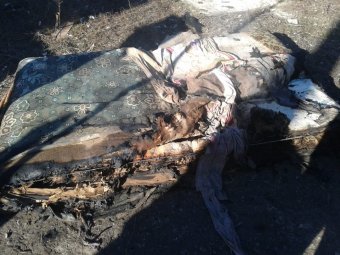 В Болграде на пожаре погибли трое детей (фото)
