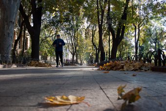 Один день из жизни одесского Горзелентреста (фото)