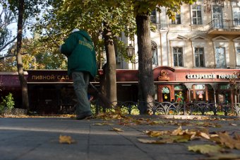 Один день из жизни одесского Горзелентреста (фото)