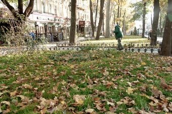 Один день из жизни одесского Горзелентреста (фото)