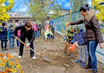 70 саженцев белой березы высадили в Приморском районе Одессы (фото)