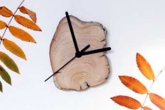 Одесские правоохранители проводят операцию «Каникулы»