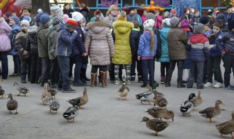 В Одесском зоопарке состоялось торжественное событие - открытие нового тигрятника (фото)