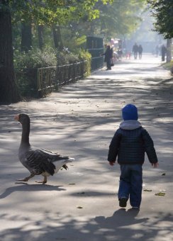 В Одесском зоопарке состоялось торжественное событие - открытие нового тигрятника (фото)