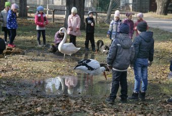 В Одесском зоопарке состоялось торжественное событие - открытие нового тигрятника (фото)