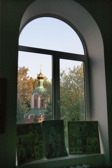 Одесситов приглашают в «Оранжерею цвета» (фото)