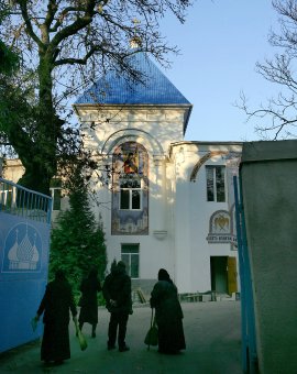 Одесситов приглашают в «Оранжерею цвета» (фото)