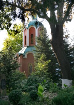 Одесситов приглашают в «Оранжерею цвета» (фото)