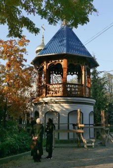 Одесситов приглашают в «Оранжерею цвета» (фото)